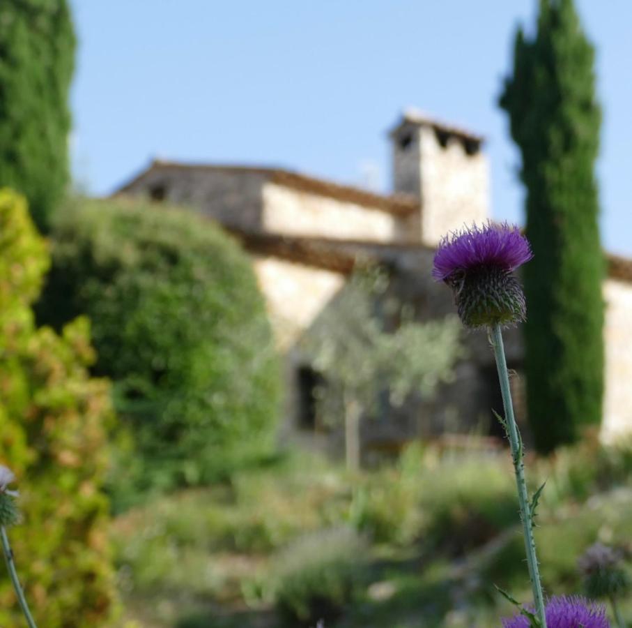 Domaine De La Xavoliere Hotel Saint-Cézaire-sur-Siagne Eksteriør billede