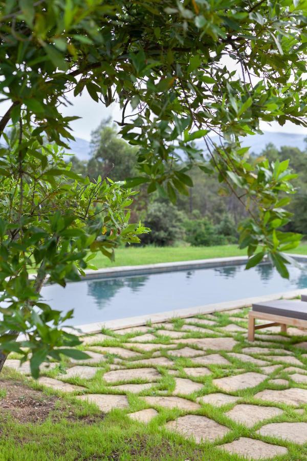 Domaine De La Xavoliere Hotel Saint-Cézaire-sur-Siagne Eksteriør billede